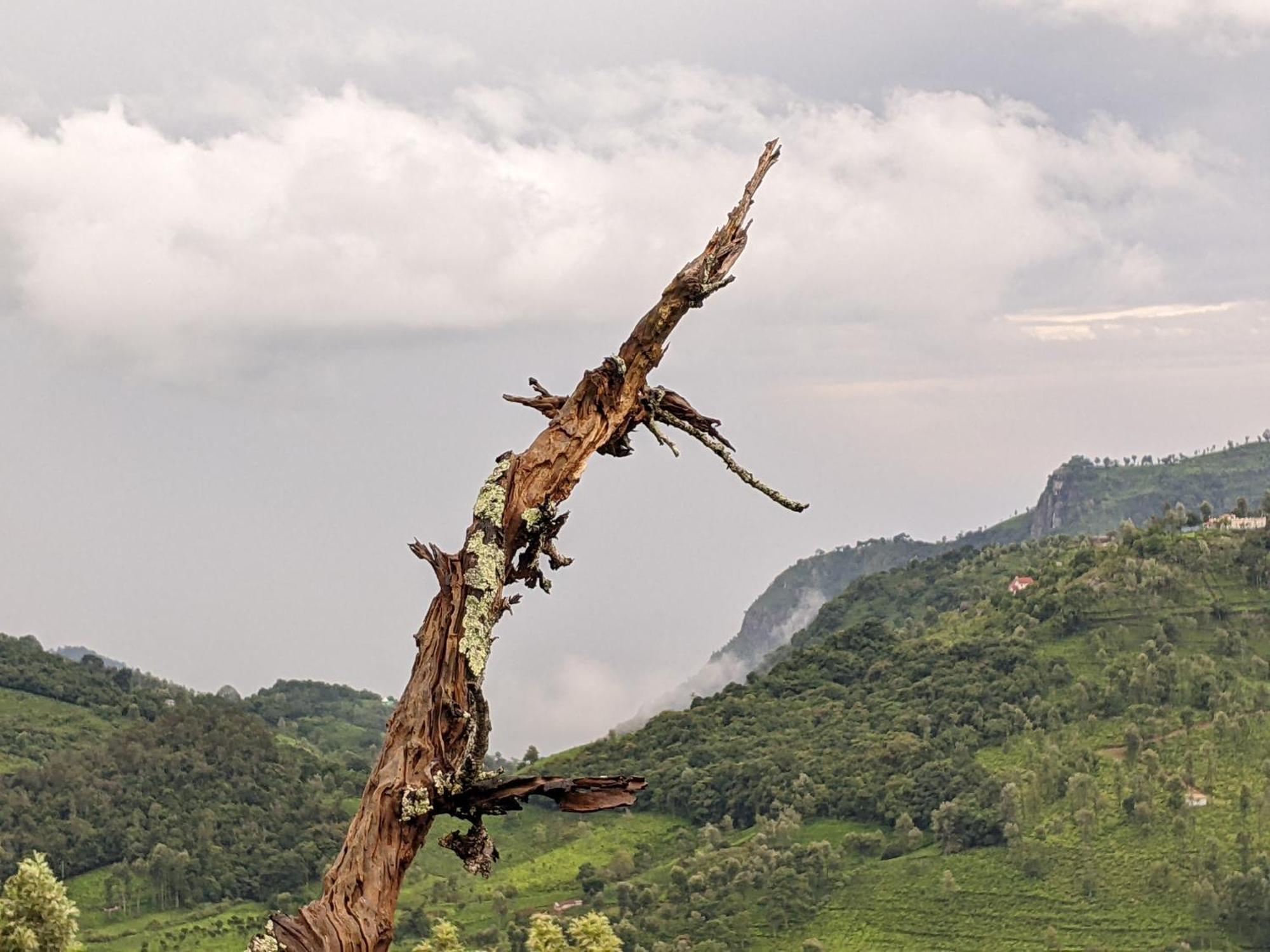 Moksha Infinity Valley Kotagiri Kültér fotó