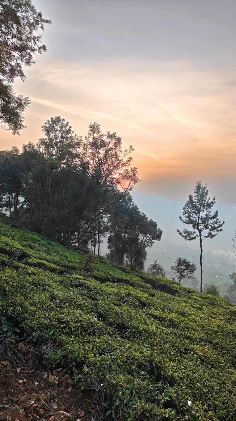 Moksha Infinity Valley Kotagiri Kültér fotó